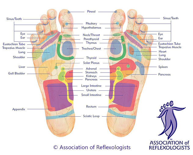 Reflexology Treatment. AoR Footmap